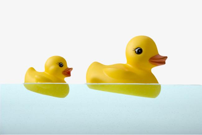 橡胶鸭黄色绝缘体水中游泳的橡胶鸭实物免费下载_高清png图片-90设计